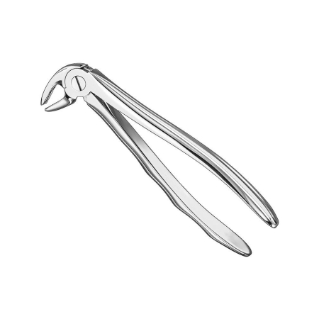 Extracting forceps, anat.